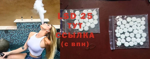 хмурый Белокуриха