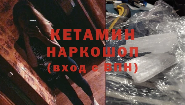 хмурый Белокуриха