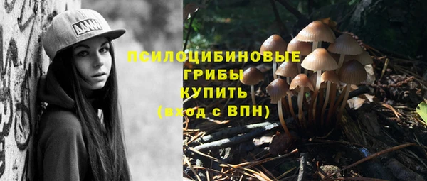 соль ск Белоозёрский