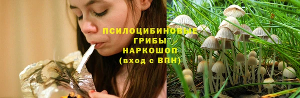 хмурый Белокуриха