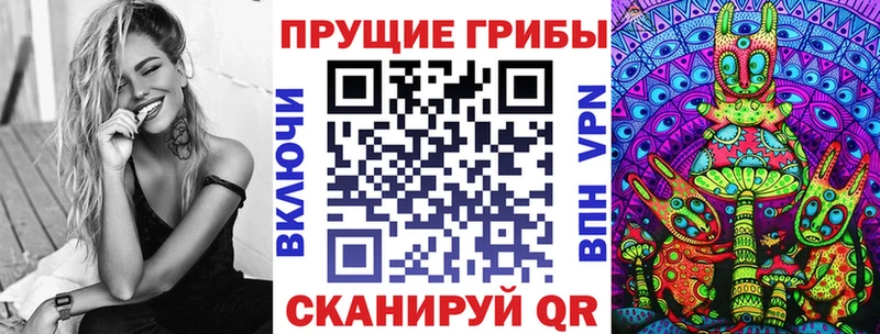 дарнет шоп  Высоковск  Галлюциногенные грибы мицелий 